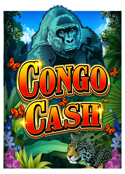 วิธีเล่น royal slot online ที่คุณต้องรู้!